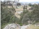 125 Billywillinga Road, Billywillinga NSW 2795