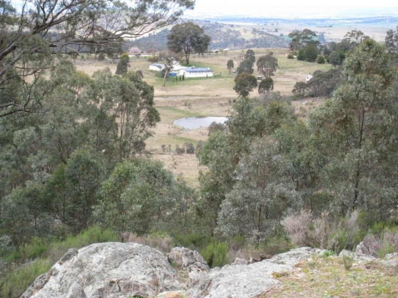 125 Billywillinga Road, Billywillinga NSW 2795