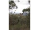 125 Billywillinga Road, Billywillinga NSW 2795