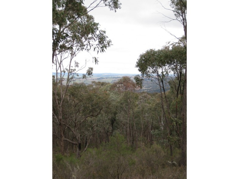 125 Billywillinga Road, Billywillinga NSW 2795