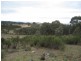 125 Billywillinga Road, Billywillinga NSW 2795