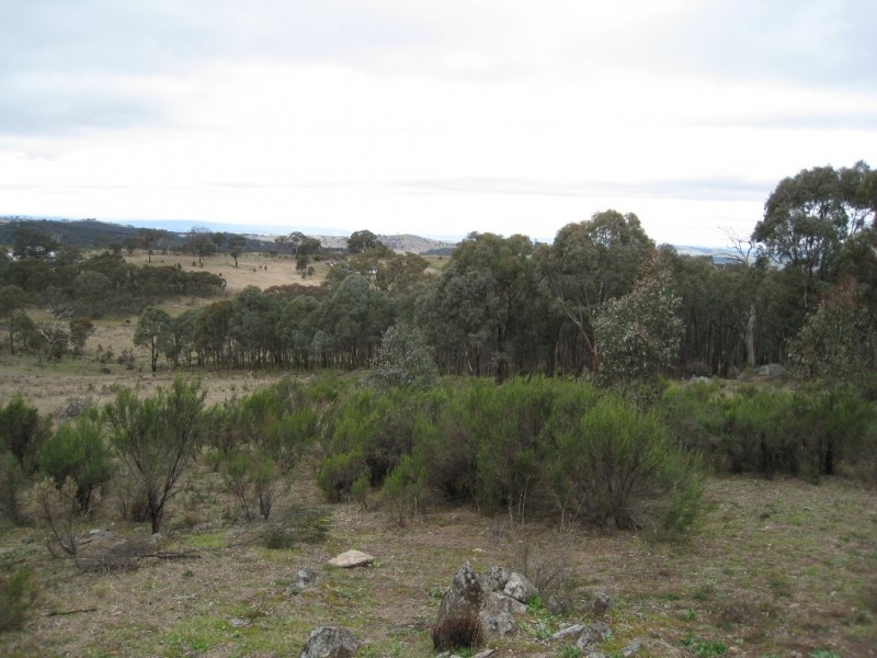 125 Billywillinga Road, Billywillinga NSW 2795