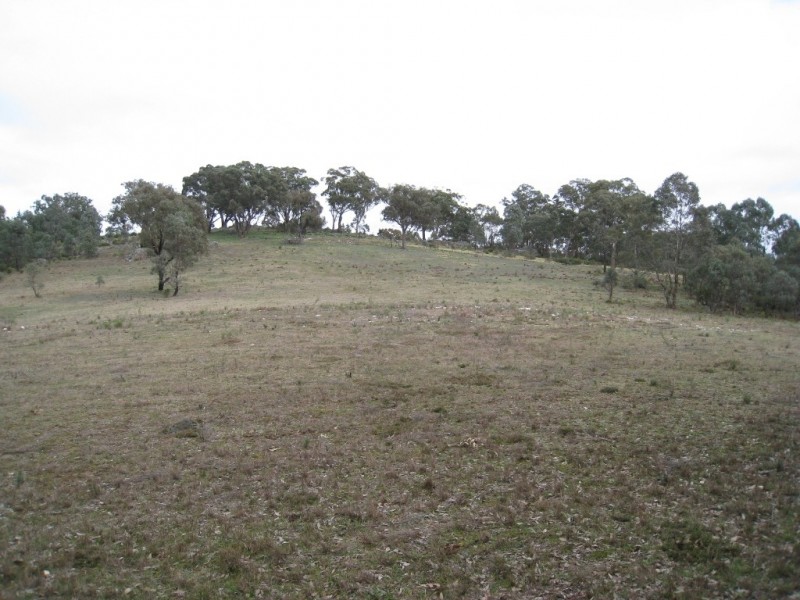 125 Billywillinga Road, Billywillinga NSW 2795