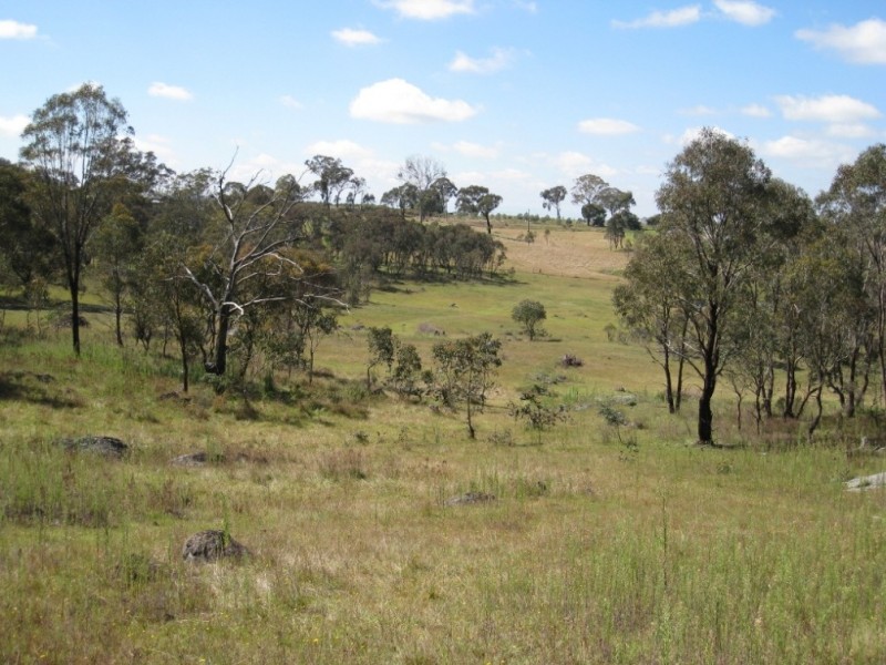 125 Billywillinga Road, Billywillinga NSW 2795