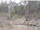 125 Billywillinga Road, Billywillinga NSW 2795