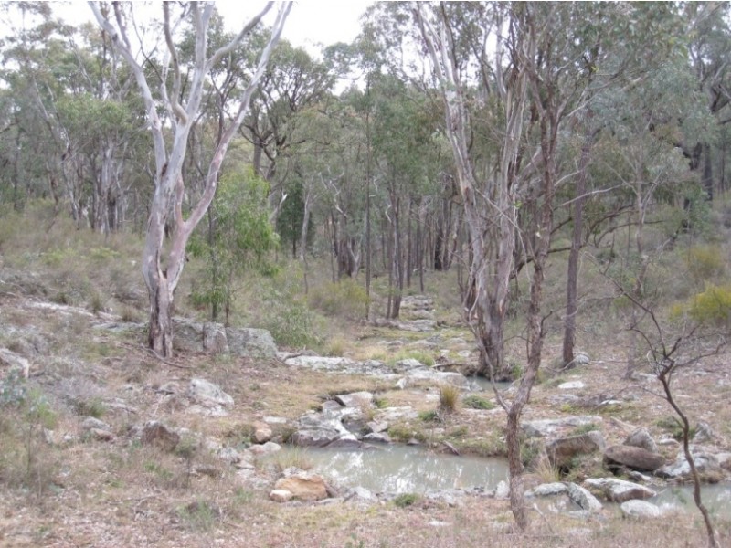 125 Billywillinga Road, Billywillinga NSW 2795