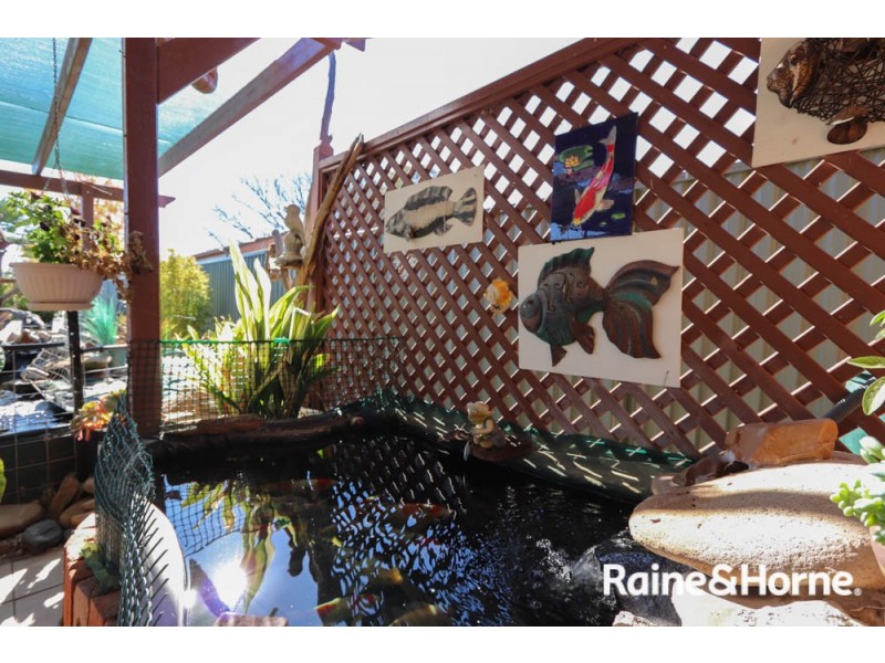 8 Park Street, Eglinton NSW 2795