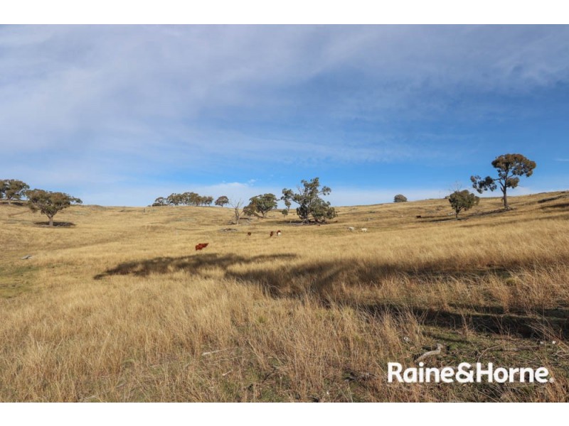 Lot 113 Whalans Lane, Duramana NSW 2795