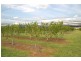 Bathurst NSW 2795