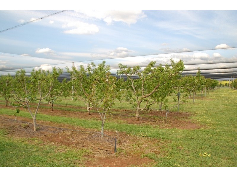 Bathurst NSW 2795