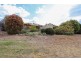 1956 Trunkey Creek Road, Bathurst NSW 2795