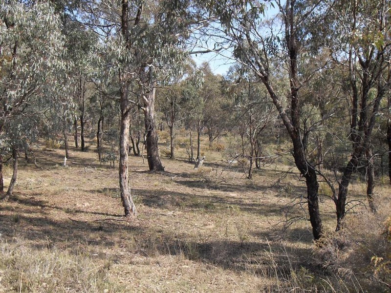 Bathurst NSW 2795
