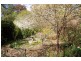 137 Hope Street, Bathurst NSW 2795