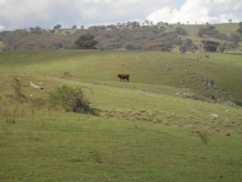 Bathurst NSW 2795