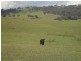 Bathurst NSW 2795