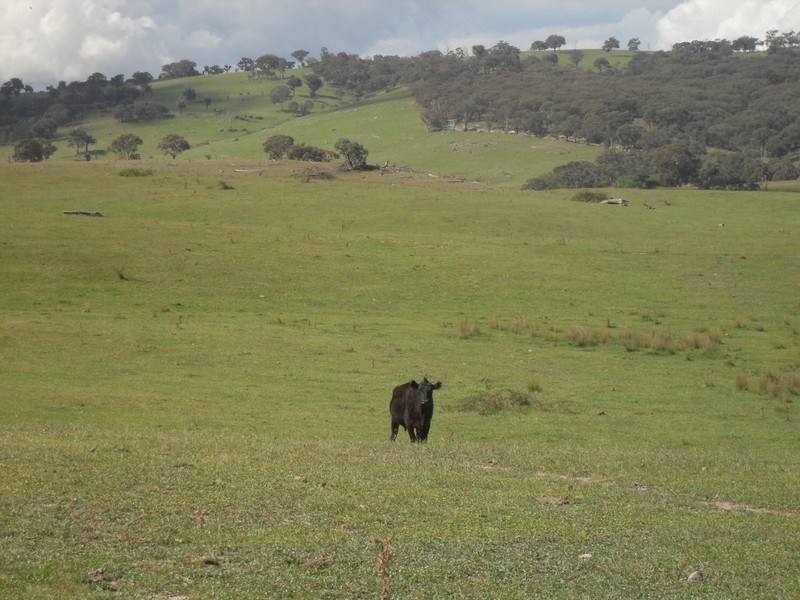 Bathurst NSW 2795