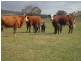Bathurst NSW 2795