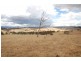 Bathurst NSW 2795