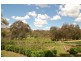 492 Mutton Falls Road, Bathurst NSW 2795