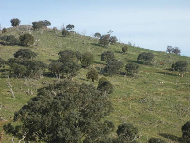 Lot 2 The Bridle Track, Bathurst NSW 2795