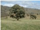 Bathurst NSW 2795