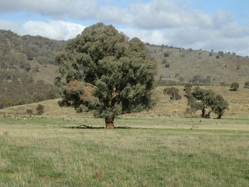 Bathurst NSW 2795