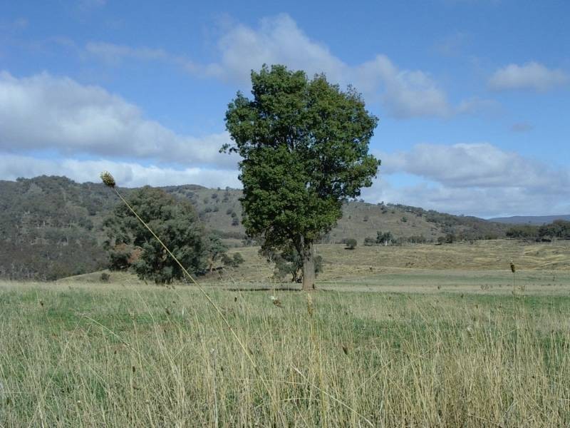 Bathurst NSW 2795