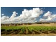 101 Burkes Lane, Bathurst NSW 2795