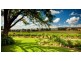 101 Burkes Lane, Bathurst NSW 2795