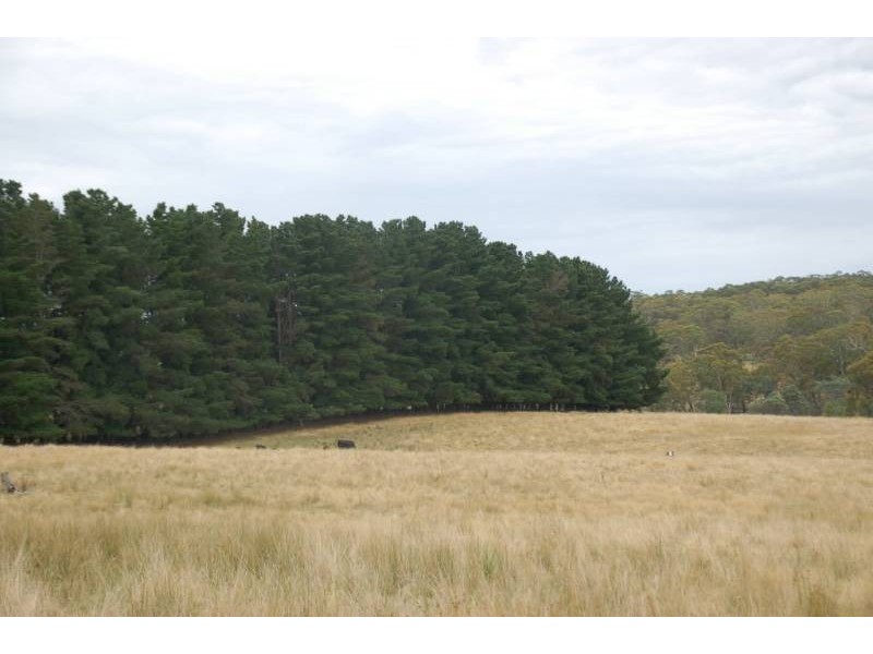 335 Razorback Road, Bathurst NSW 2795