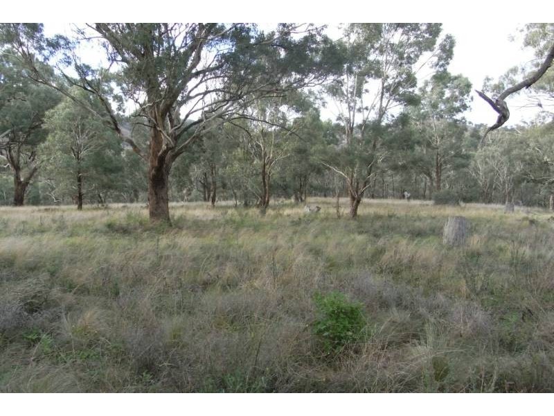 3031 Turondale Road, Bathurst NSW 2795