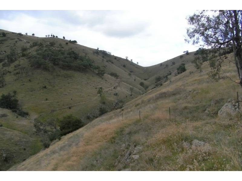 3031 Turondale Road, Bathurst NSW 2795