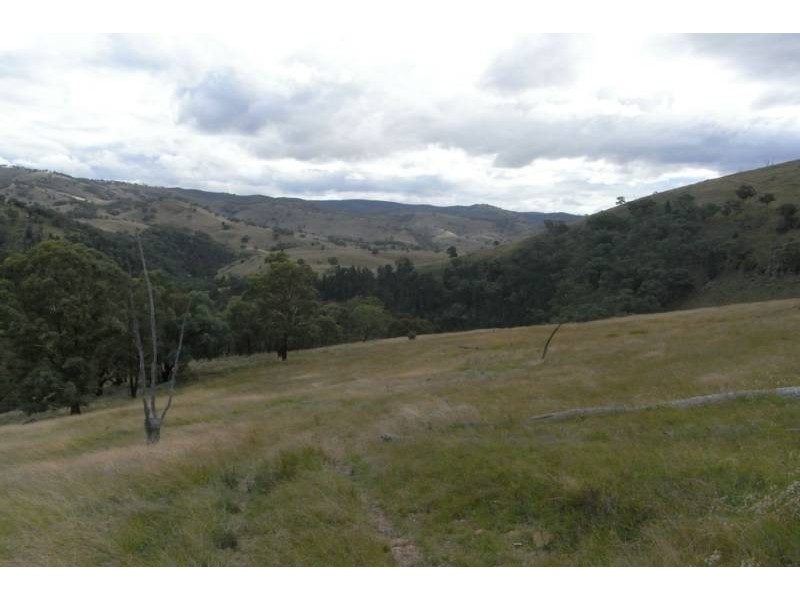 3031 Turondale Road, Bathurst NSW 2795