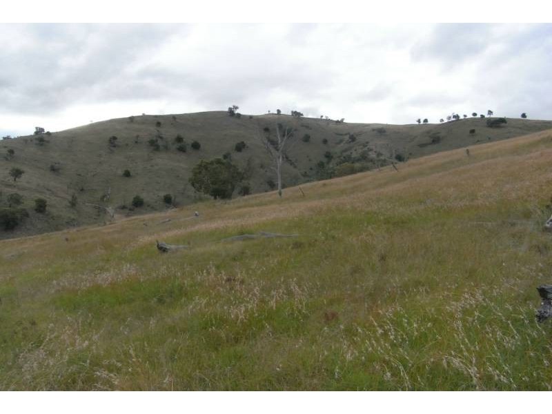 3031 Turondale Road, Bathurst NSW 2795