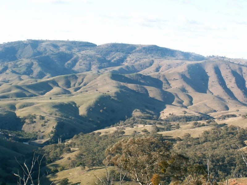 3031 Turondale Road, Bathurst NSW 2795