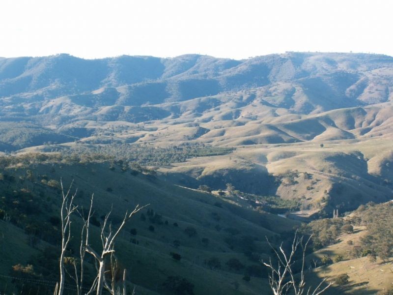 3031 Turondale Road, Bathurst NSW 2795