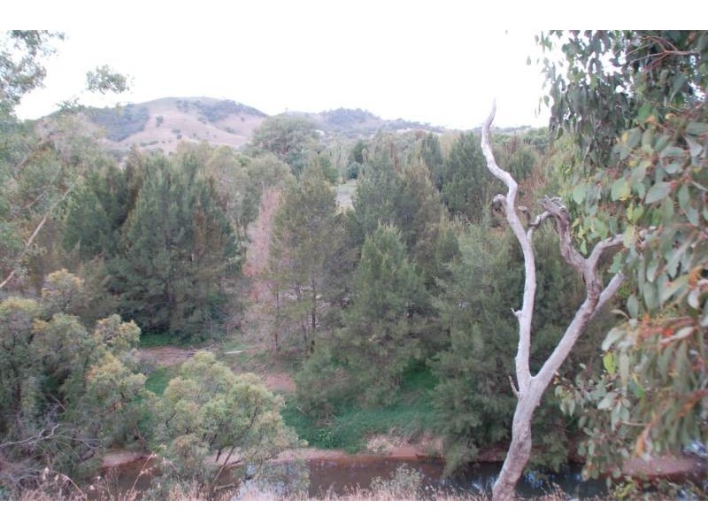 486 Rivulet Road, Bathurst NSW 2795