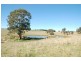 Lot 72, 187 Loundan Shand Road, Bathurst NSW 2795