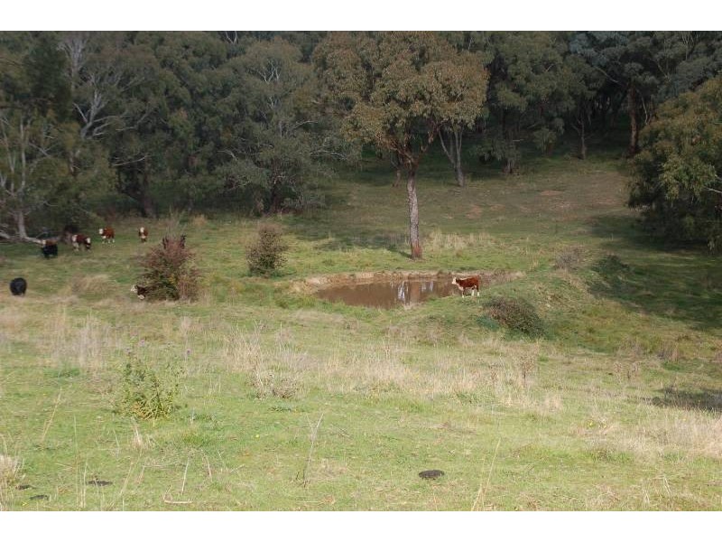 Lot 5, 158 Walkom Road, Bathurst NSW 2795