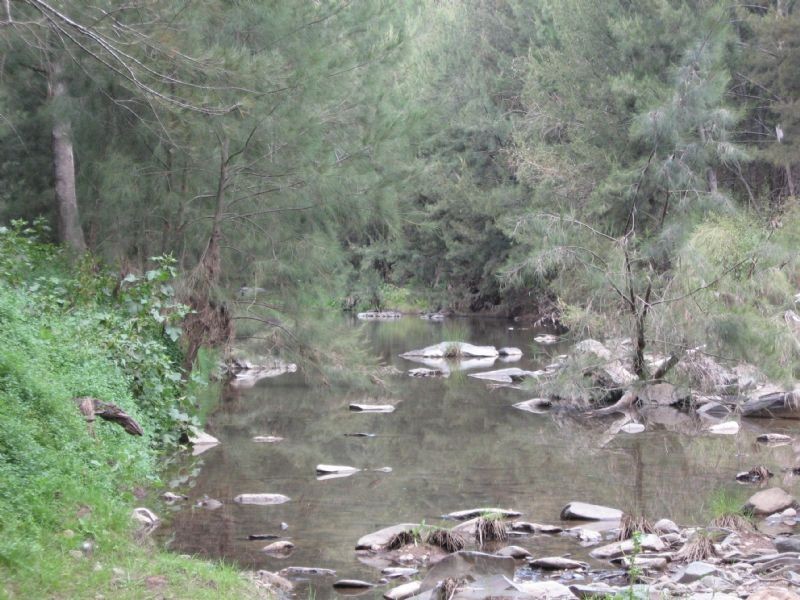 1732 Bridle Track, Bathurst NSW 2795