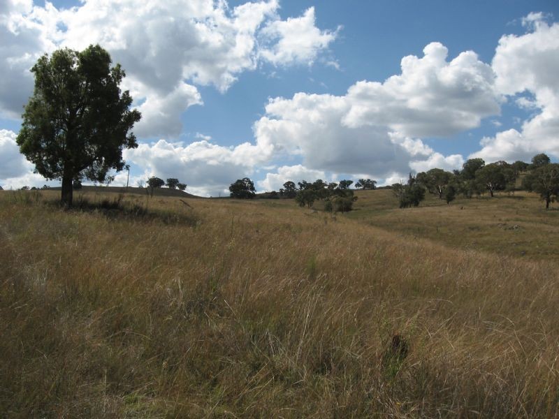 1732 Bridle Track, Bathurst NSW 2795