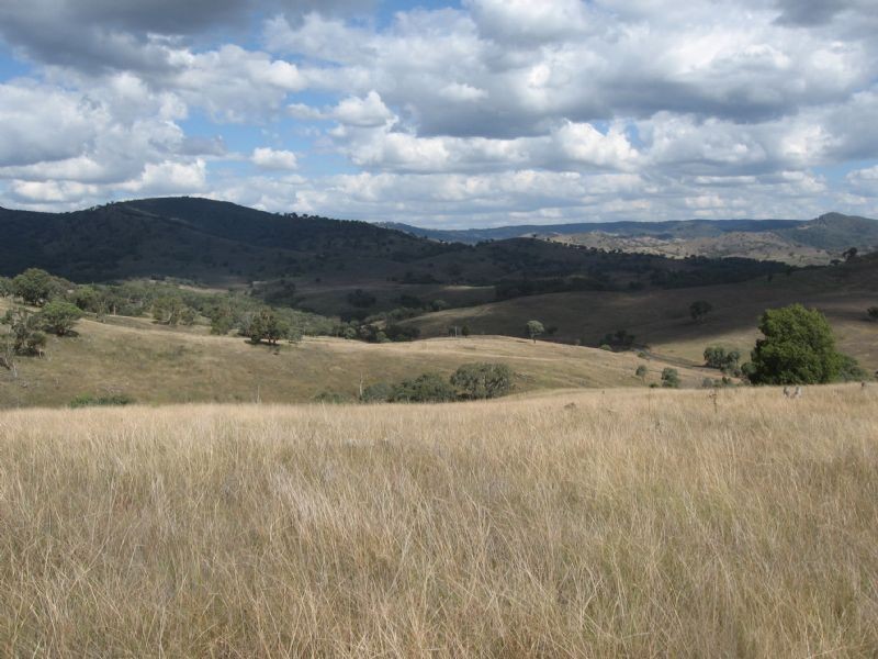 1732 Bridle Track, Bathurst NSW 2795