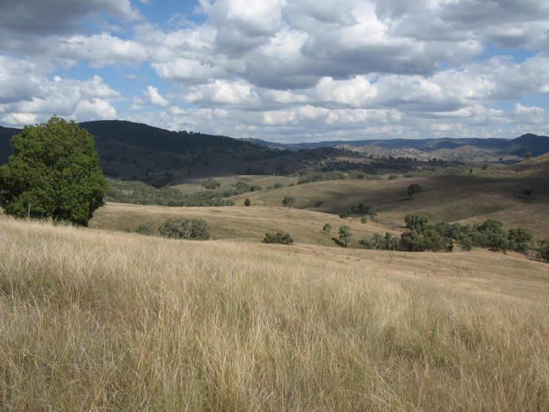 1732 Bridle Track, Bathurst NSW 2795