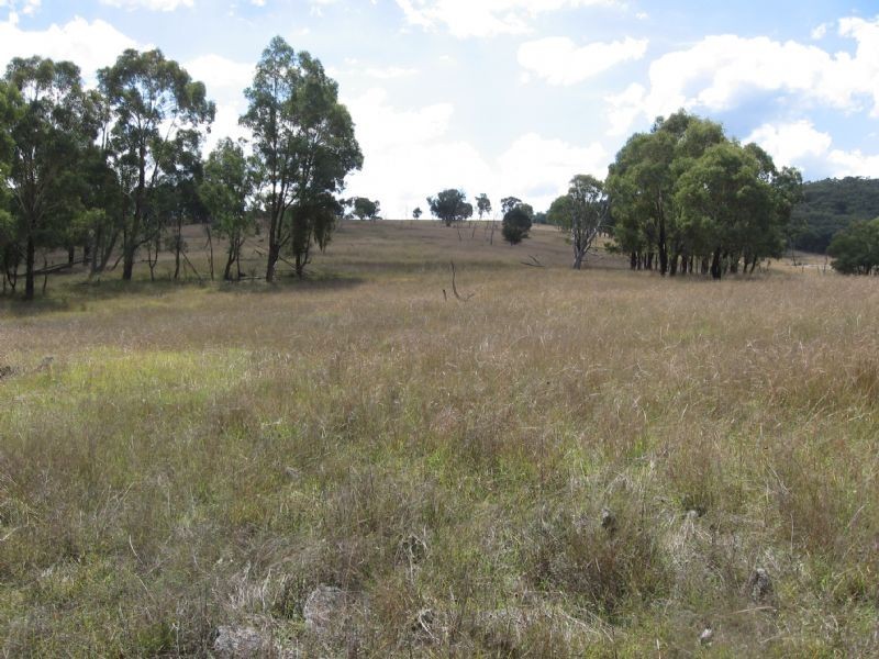 1732 Bridle Track, Bathurst NSW 2795