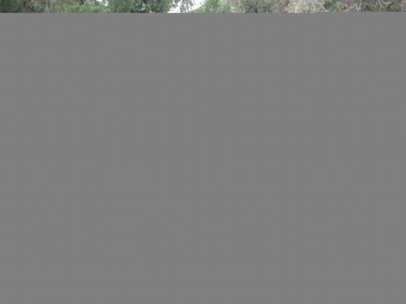 1732 Bridle Track, Bathurst NSW 2795