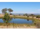173 Peregrine Road, Bathurst NSW 2795