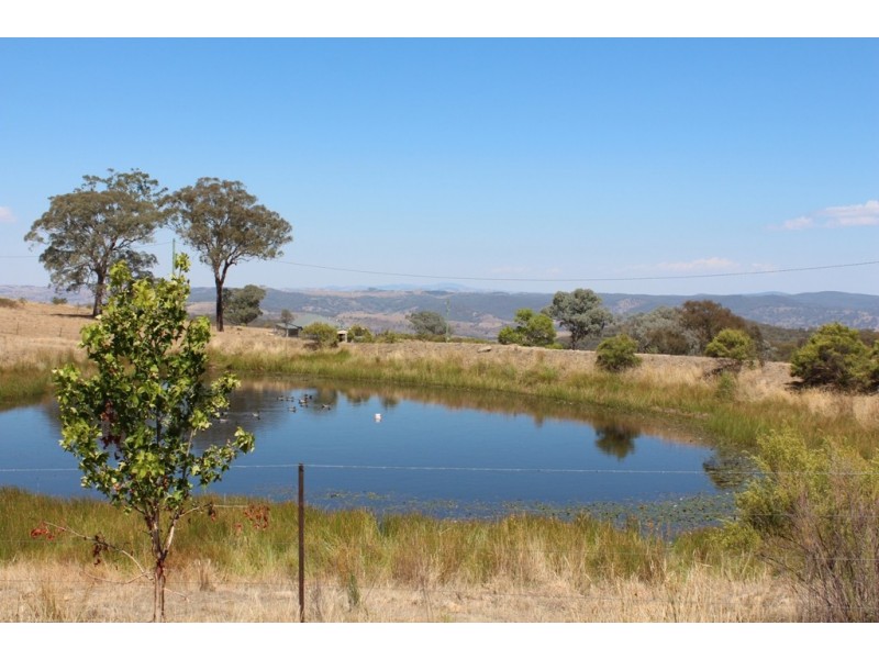 173 Peregrine Road, Bathurst NSW 2795