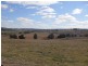 Bathurst NSW 2795
