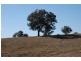 Bathurst NSW 2795
