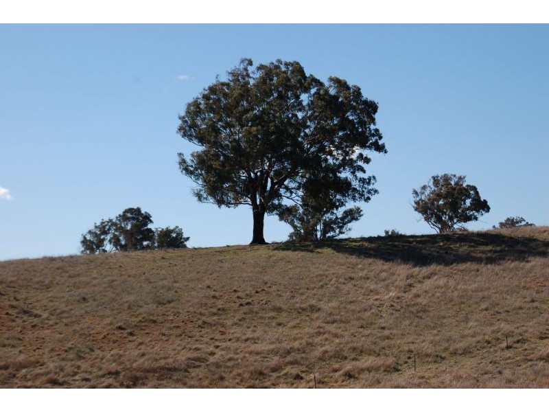 Bathurst NSW 2795